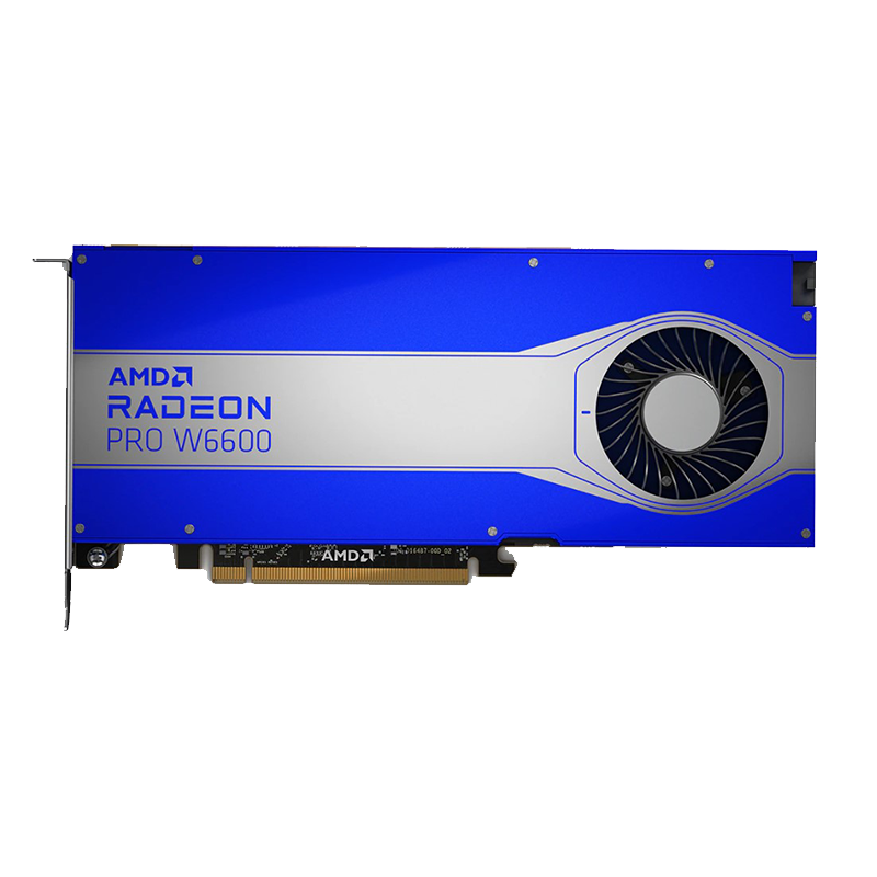 Graphics Card AMD Radeon TM Pro W6600 Graphic 8GB